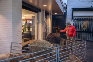 WEB HEIJBLOM FOTOGRAFIE-251212-16.32-HF1_4296