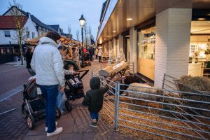 WEB HEIJBLOM FOTOGRAFIE-251212-16.32-HF1_4298