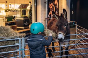 WEB HEIJBLOM FOTOGRAFIE-251212-16.33-HF1_4301