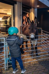 WEB HEIJBLOM FOTOGRAFIE-251212-16.33-HF1_4302